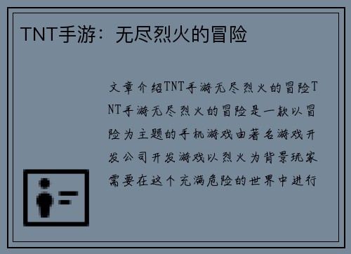 TNT手游：无尽烈火的冒险